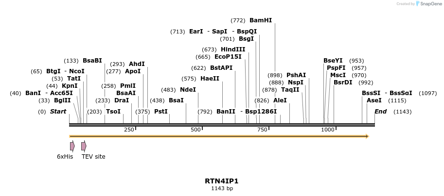 48963_map