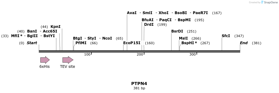 48964_map