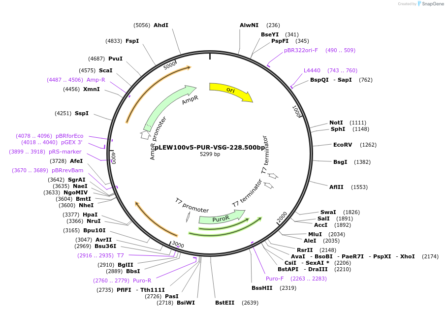 489640_map