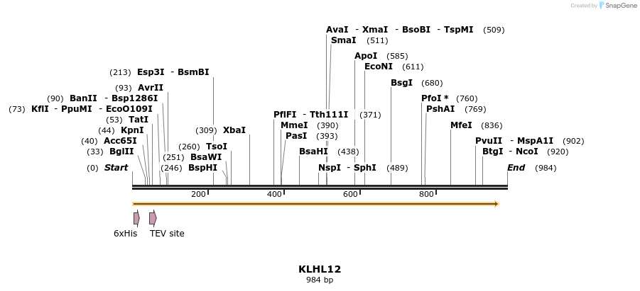 48966_map