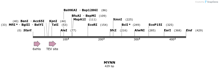 48967_map