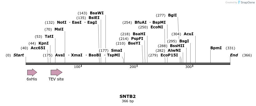 48970_map