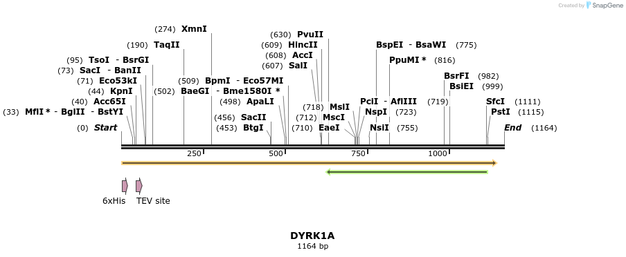 48971_map