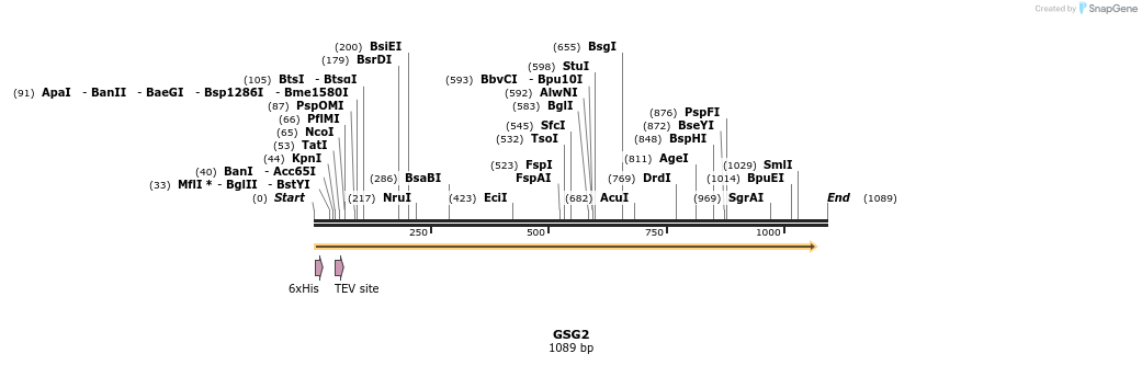 48973_map