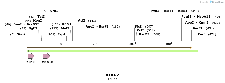 48974_map
