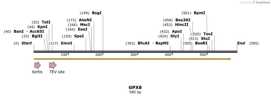 48975_map