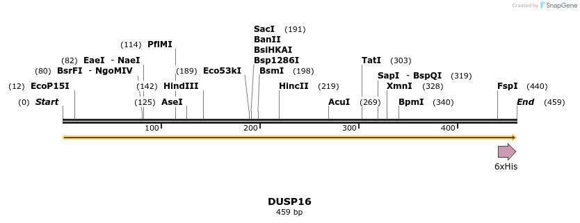 48976_map