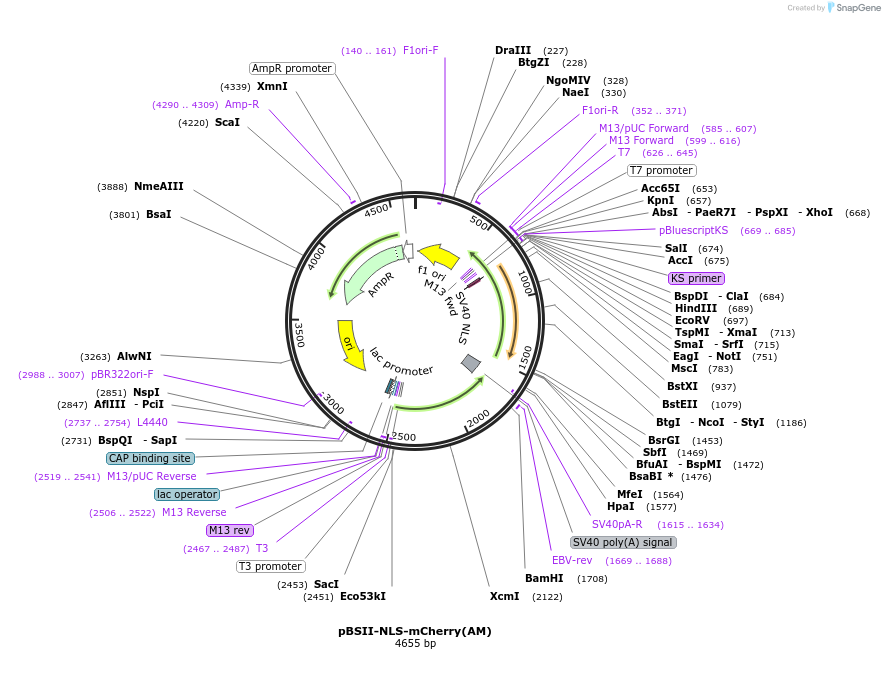 489766_map