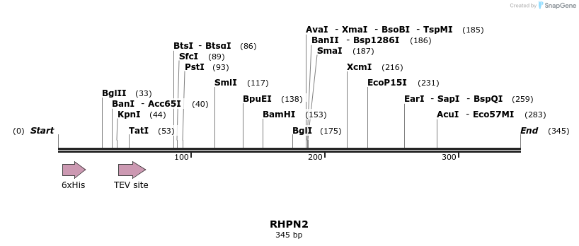 48977_map