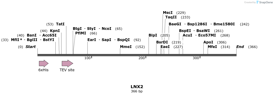 48978_map