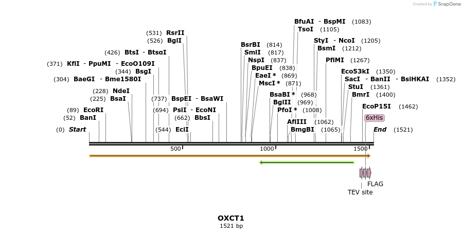 48980_map
