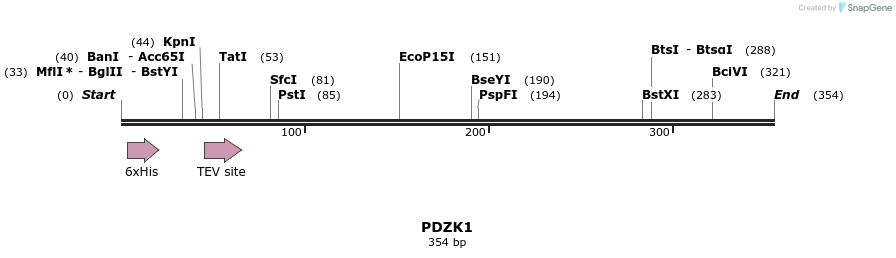 48981_map