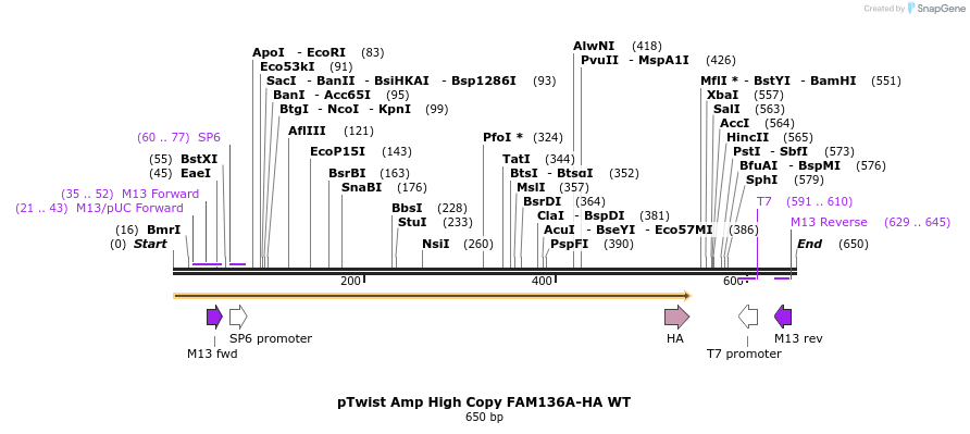 489818_map