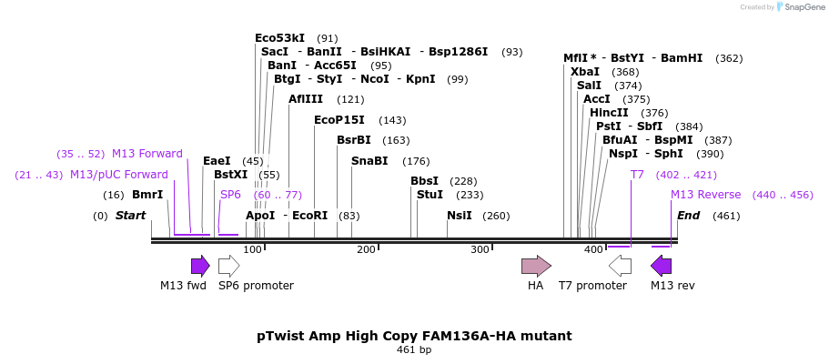 489819_map