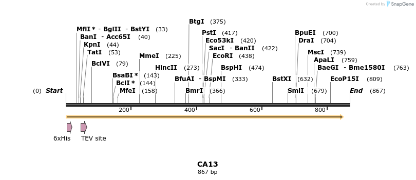 48982_map