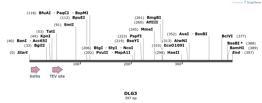 48983_map