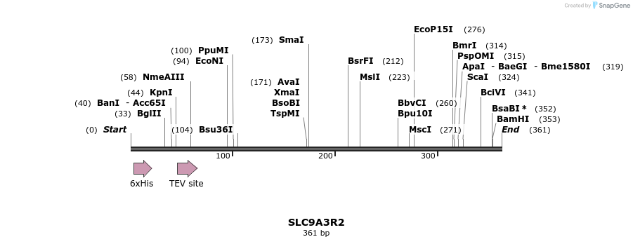 48984_map