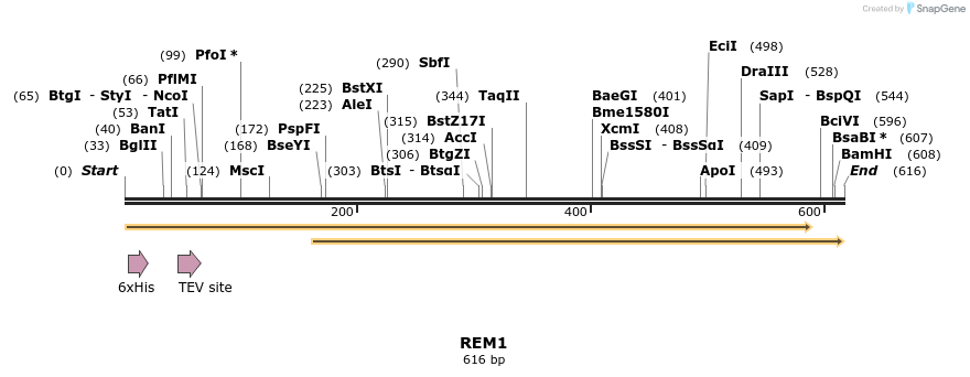 48985_map