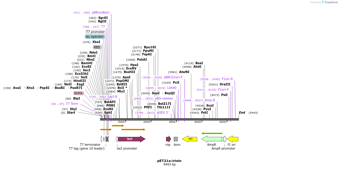 489850_map