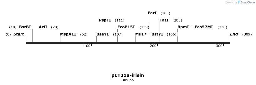 489851_map