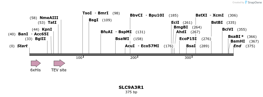 48986_map