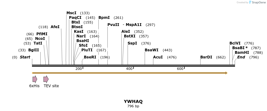 48989_map