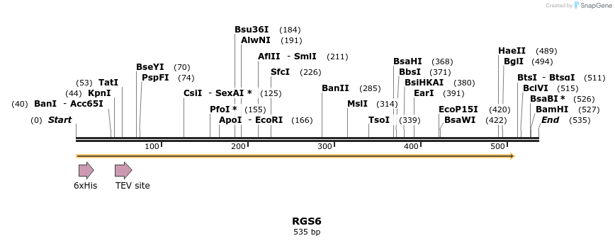 48990_map