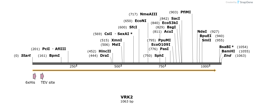 48993_map