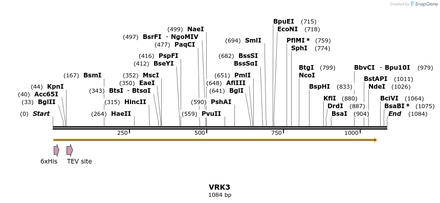 48994_map