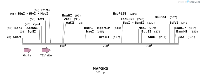 48995_map