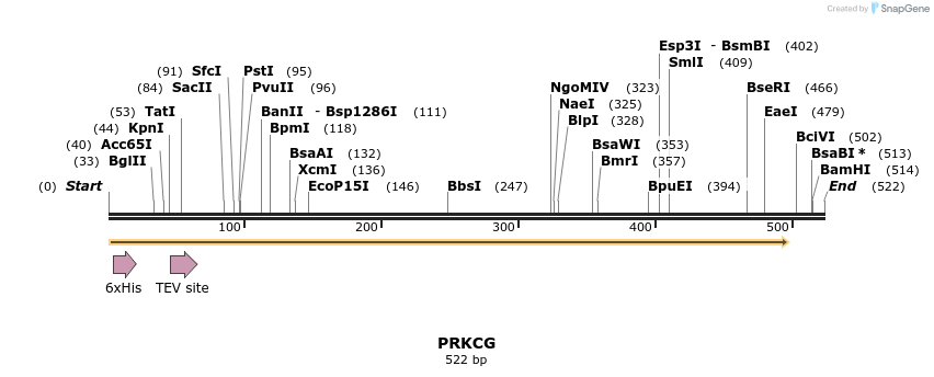 48996_map