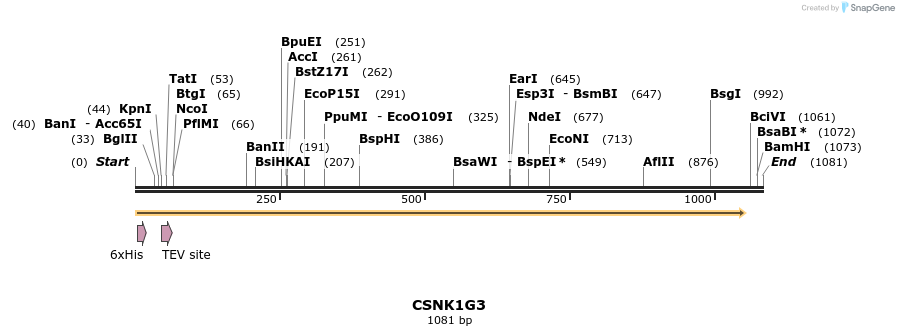 48997_map