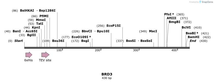 48999_map