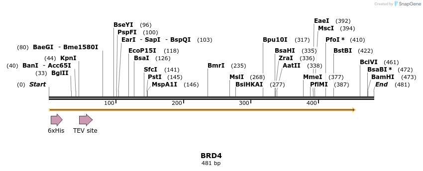 49001_map