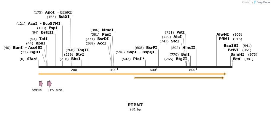 49003_map