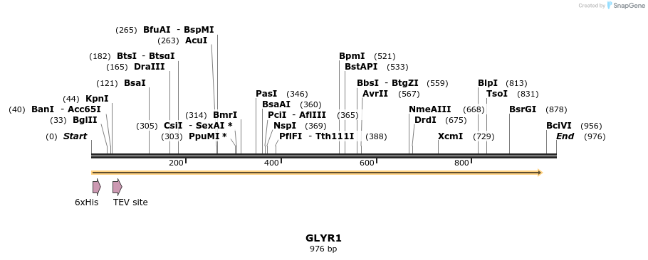 49004_map