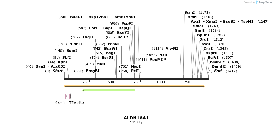 49005_map