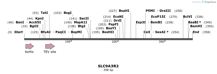 49006_map