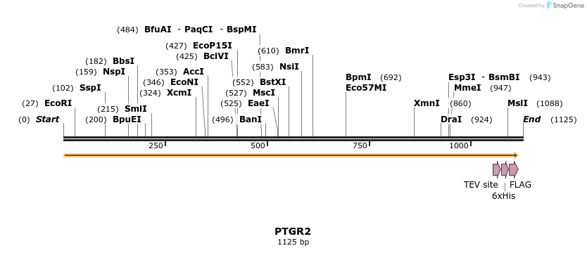 49007_map