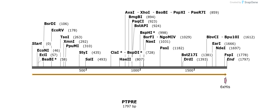 49008_map