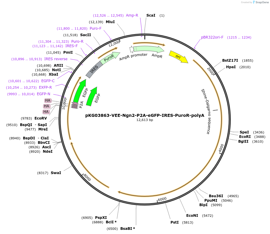 490083_map