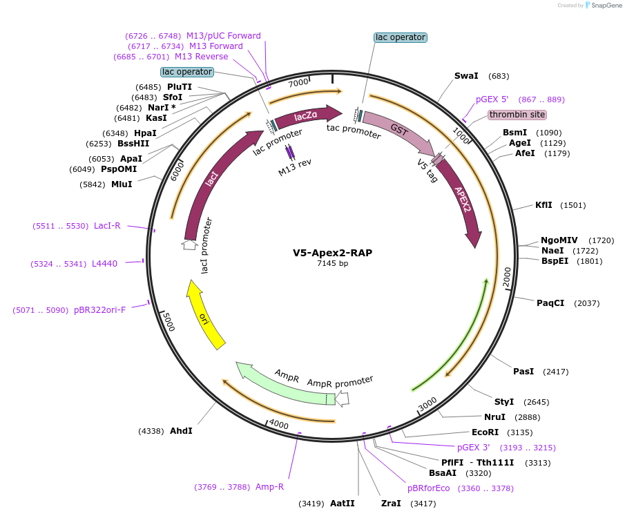 490089_map