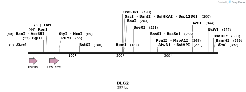 49009_map