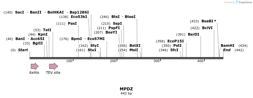 49010_map