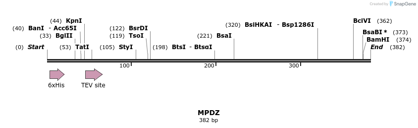 49011_map