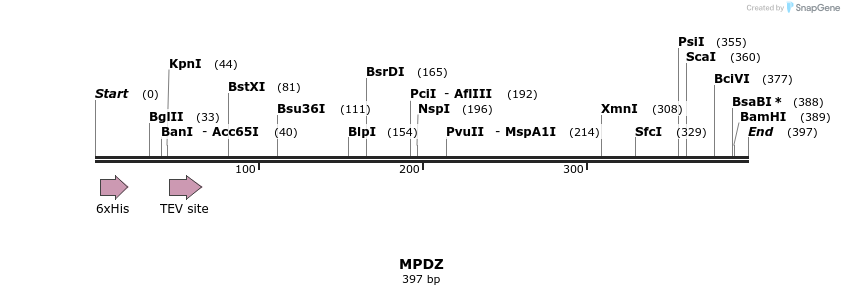 49012_map