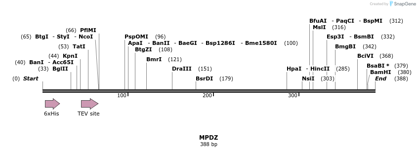 49013_map