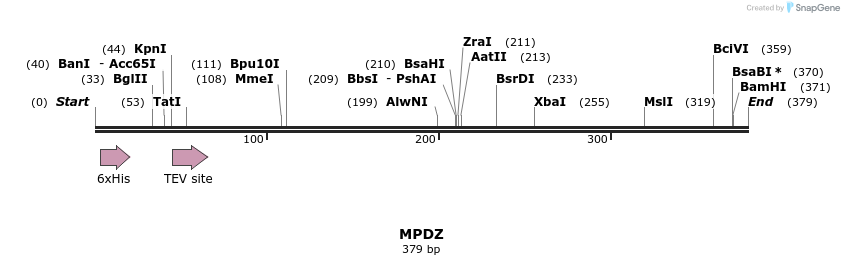 49014_map