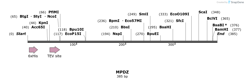 49015_map