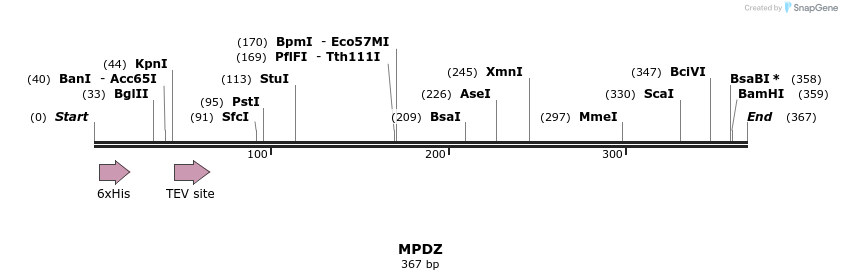 49016_map